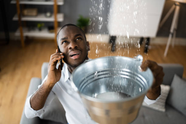 Best Water damage restoration company  in Beaver Falls, PA
